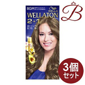 y×3zEGg[ c[vX (2+1) t^Cv 8GM