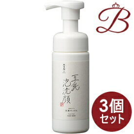 【×3個】豆腐の盛田屋 豆乳泡洗顔 自然生活 150mL