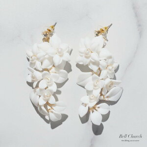 EGfBOsAX@CObp[@rW[bԁ@t[`[tbS[h×zCg(BC-E101)