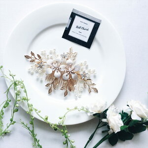 wAR[ p[ t[()`[t [t(t) (BC-H13)buC_ANZT[