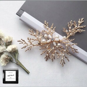 wbhhX p[ƃr[Y wANbv (BC-H19)bEFfBOANZT[