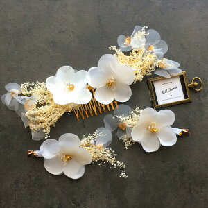 wAANZT[ VNt[ hCt[ (3Zbg) (BC-H34)bEFfBOANZT[