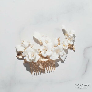 wAR[br[Y bt[@ԃ`[t@[t@tσ`[tbS[h(BC-H74)