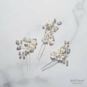 wbhs[X@3_ZbgbrW[@p[@r[Ybt[@ԃ`[tb[t@tσ`[tbVo[(BC-H82)