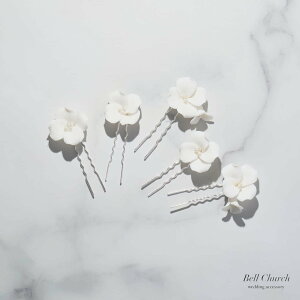 wbhs[X@5_Zbgbp[bԁ@t[`[tbVo[×zCg(BC-H87)