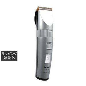  pi\jbN voJ ER1510P-S | Panasonic oJ