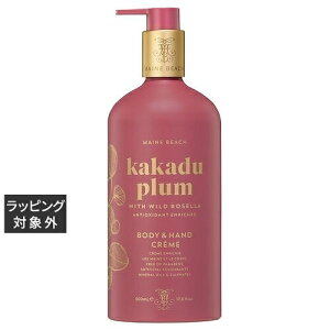 }Cr[` nh&{fB[[V JJhDv 500ml |  MAINE BEACH {fB[V