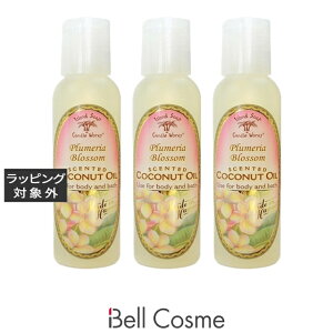  ACh\[vLh[NX A}eBbNIC vA 120ml x 3 | Island Soap&Candle Works A}IC