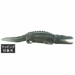  nT CGj W64×H20×D130cm | HANSA 