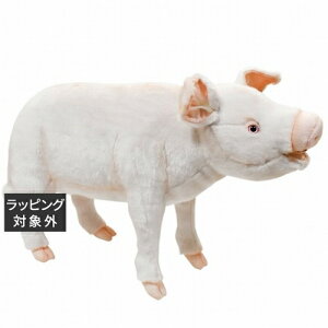  nT u^ W14×H39×D57×T15cm | HANSA 