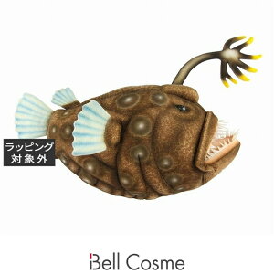  nT `E`ARE W18×H25×D40cm | HANSA 