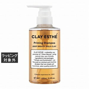 NCGXe vC~O S[hNCVv[ 400ml |  CLAY ESTHE Vv[