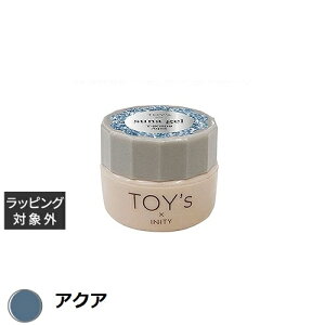 gCY TOY's×INITY XiWF ANA 5g |  TOY's lCpi