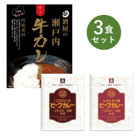 レトルトカレー お試し 3食 セット DX RG レストラン用 ビーフ カレー大阪 ベル食品工業 簡単調理 長期保存 ポイント消化 送料無料 酒屋の瀬戸内 牛カレー