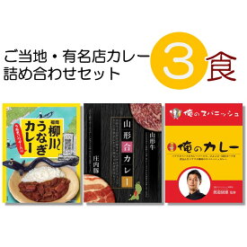 【賞味期限2024年8月4日の為アウトレット価格でご提供】 ご当地カレー 訳アリ 3個 セット 中辛 人気 レストラン カレー 食べ比べ アウトレット 常温保存 食品ロス 2024