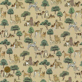 【LIBERTY FABRICS】 2023秋冬 イタリア製タナローン Hyde Park Hounds ハイドパークハウンズ 黄 363j7301-d リバティ・ファブリックス