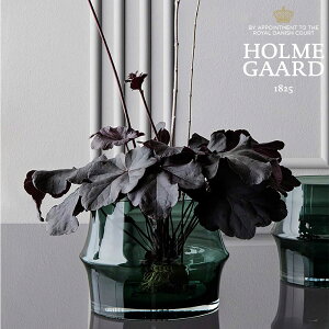 HOLMEGAARD zK[h ARC A[N t[|bgi_[NO[j H13.5cm 4340263 Aؔ ԕr k KX CeA Mtg v[g _  Vv rO t[x[X