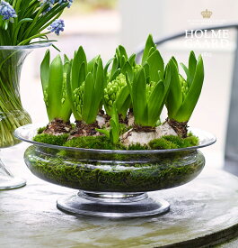 HOLMEGAARD ホルムガード オールドイングリッシュ フワラーボウル (L) φ25cm OLD ENGLISH Flower bowl 4343801 吹きガラス 花瓶 ガラス 花器 フラワーベース トレー 北欧 インテリア 雑貨 デンマーク モダン シンプル おしゃれ 送料無料 あす楽 母の日