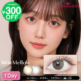 【日本公式】ANN365 ANN365LENS RichAnn メロウ Mellow メロウブラウン メロウグレー 韓国 カラコン ワンデー 1day コンタクト カラーコンタクト コンタクトレンズ 太フチ 度あり 度なし ナチュラル カラー　使い捨て 1箱 10枚