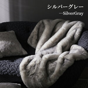 yzѕz VO Z~VO _u 2킹 rbgt@[ tFCNt@[ uPbg GRt@[ OWA[  g ӂӂ  2d _炩 |