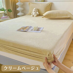 y}\CP100~`2000~OFF×P5z{bNXV[c g  ̌^ VO Z~_u _u LO ChLO i ӂӂ R h_j EȒP }bgXJo[ ʋC 