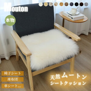 y11/1CPSi11OFF×P5z[gNbV p` 45*45cm V[gNbV { VRє у^Cv ӂӂ  _炩 g  I[V[Y єNbV t@