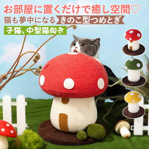 yBFCPő2000~OFF×P5zL ܂Ƃ ߂Ƃ 킢 L ܌  ̂^ Lbg^[ TCU  ꊪ R ˂ lR ܂Ƃ|[ Lp ܂݂ 芴y Lpi 