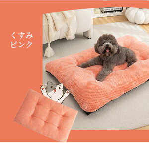 yybgxbhW2_ňȏ30OFFzybgNbV ybgxbh 􂦂 xbh Lp  tl ӂӂ  QSnǂ G芴ǂ ӂ肠