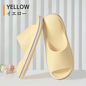 yBFCPő2000~OFF×P5{zo[Xbp oXXbp T_   OJ O y y ~ Y fB[X jp x_ gC  W V[