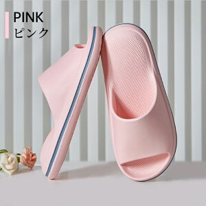 yBFCPő2000~OFF×P5{zo[Xbp oXXbp T_   OJ O y y ~ Y fB[X jp x_ gC  W V[