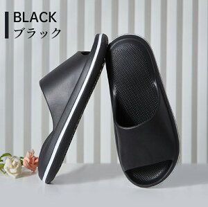 yBFCPő2000~OFF×P5{zo[Xbp oXXbp T_   OJ O y y ~ Y fB[X jp x_ gC  W V[