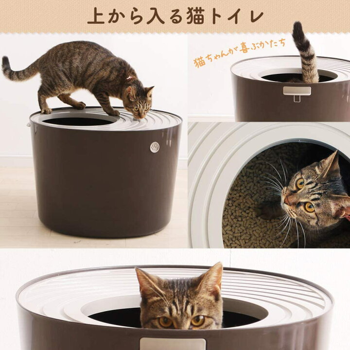 楽天市場】アイリスオーヤマ システムトイレ用 上から猫トイレ システムタイプ (飛び散らない) ブラウン 1個 (x 1) : BelleLife 楽天市場】アイリスオーヤマ システムトイレ用 上から猫トイレ システムタイプ (飛び散らない) ブラウン 1個 (x 1) : BelleLife
