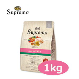 ҏN[|Vv@GCWOPAp@^[^p@1kg@yhbOt[h/hCt[h/^pE^pEp/NutroESpremo/ybgt[h/DOG FOODz