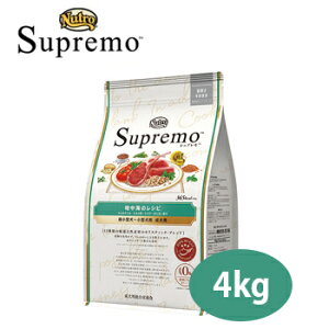 }\10OFFN[|Vv@^[^p@p@nC̃Vs@̃O@4kgyj[g/hbOt[h/hCt[h/p/NutroESpremo/ybgt[h/DOG