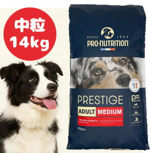 ���}���\������N�[�|����PRESTIGE�@�v���X�e�B�[�W ���p �A�_���g�����@14kg�y�h�b�O�t�[�h/�y�b�g�t�[�h/�h���C�t�[�h/�A�_���g/�����p/���^��/��^���z