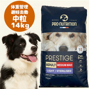 ���}���\������N�[�|����PRESTIGE�@�v���X�e�B�[�W ���p �̏d�Ǘ��E��D���� �����@14kg�y�h�b�O�t�[�h/�y�b�g�t�[�h/�h���C�t�[�h/�̏d�Ǘ�/��D/����/���^��/��^���z