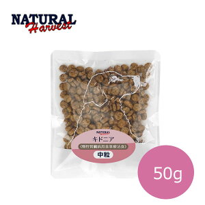 y4܂ŒǐՉ\[։zi`n[xXg@LhjA@50gyhbOt[hEhCt[hEybgt[hEEVjAEtE^pNE ჊EigEz