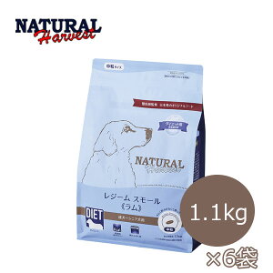 y܂Ώۏizi`n[xXg@W[X[@1.1kg×6܃Zbgy|Cg10{zyhbOt[hEE_CGbgEʁEHÖ@HEJ[EhCt[hEy