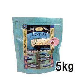 ロータス　グレインフリー　フィッシュレシピ　小粒　5kg　【ロータス（LOTUS）/ロ—タス ドッグフード/ドライフード/成犬用（アダルト）/ペットフード/正規品/送料無料】