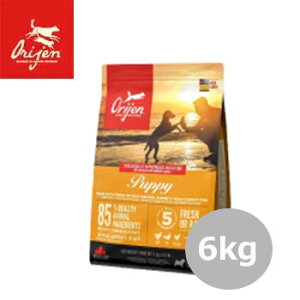 ���}���\�����Ԍ���N�[�|�����I���W���@�p�s�[ 6kg�y�h���C�t�[�h�E�p�s�[�E�q��/���Y���h�b�O�t�[�h/Orijen DOG FOOD/�y�b�g�t�[�h/�v���~�A���t�[�h�z�y���K�i�z