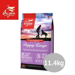 ���}���\�����Ԍ���N�[�|�����I���W���@�p�s�[���[�W 11.4kg�y�h���C�t�[�h�E�p�s�[�E�q��/��^���p�E���Y���h�b�O�t�[�h/Orijen DOG FOOD/�y�b�g�t�[�h/�v���~�A���t�[�h�z�y���K�i�z