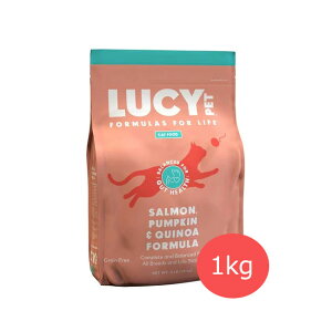 ̏SSN[|[V[ybg@T[ApvLLkA@Lbgt[h 1kgyLbgt[h,ybgt[h,hCt[h,I[Xe[Wz