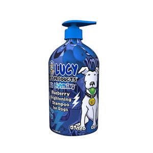 [V[ybg@u[CgjOVv[@500mlyybgpi,pi,Lpi,PApi,Vv[z