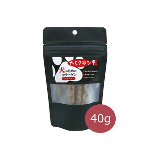 ̏SSN[|y2܂ŒǐՉ\[։ẑ߂̃R[Q N` 40gyp/g[c//pi/ybgpiz