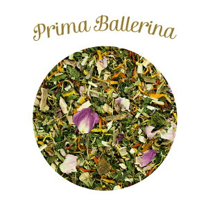 ̏SSN[|eJjX n[oq[[Y v}o[i p Tvg n[u