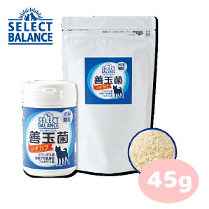 ZNgoX Pʋۂ̃`J pij45gyybgpTvg/ybgpi/pi/Lpiz