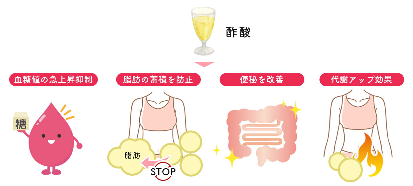リンゴ酢 ビオフェルミン 飲み方