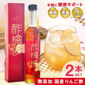 リンゴ酢 酢檎夢 スリム 無添加 国産 500ml 5倍濃縮 2本 セット 松田リエ 監修 信州 りんご酢 ギフト プレゼント クリスマス 林檎酢 砂糖不使用 酢酸菌 飲みやすい 瓶 飲むお酢 ダイエット ドリンク 美味しい アップルビネガー
