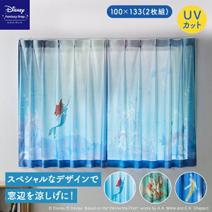  100×133(2g) yDisneyz fBYj[ ꖇĜ悤UVJbgEՔMEՑJ[em2gnuAG ܂̃v[ s[^[Epv t@ubN J[e nJ[e n 