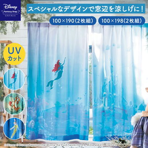  100×190(2g)^100×198(2g) yDisneyz fBYj[ ꖇĜ悤UVJbgEՔMEՑJ[em2gnuAG ܂̃v[ s[^[Epv  t@ubN J[e 